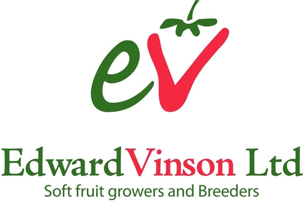 EDWARD VINSON LTD EDWARD VINSON LTD